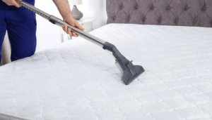 Read more about the article How to Clean Pee Out of Your Mattress?